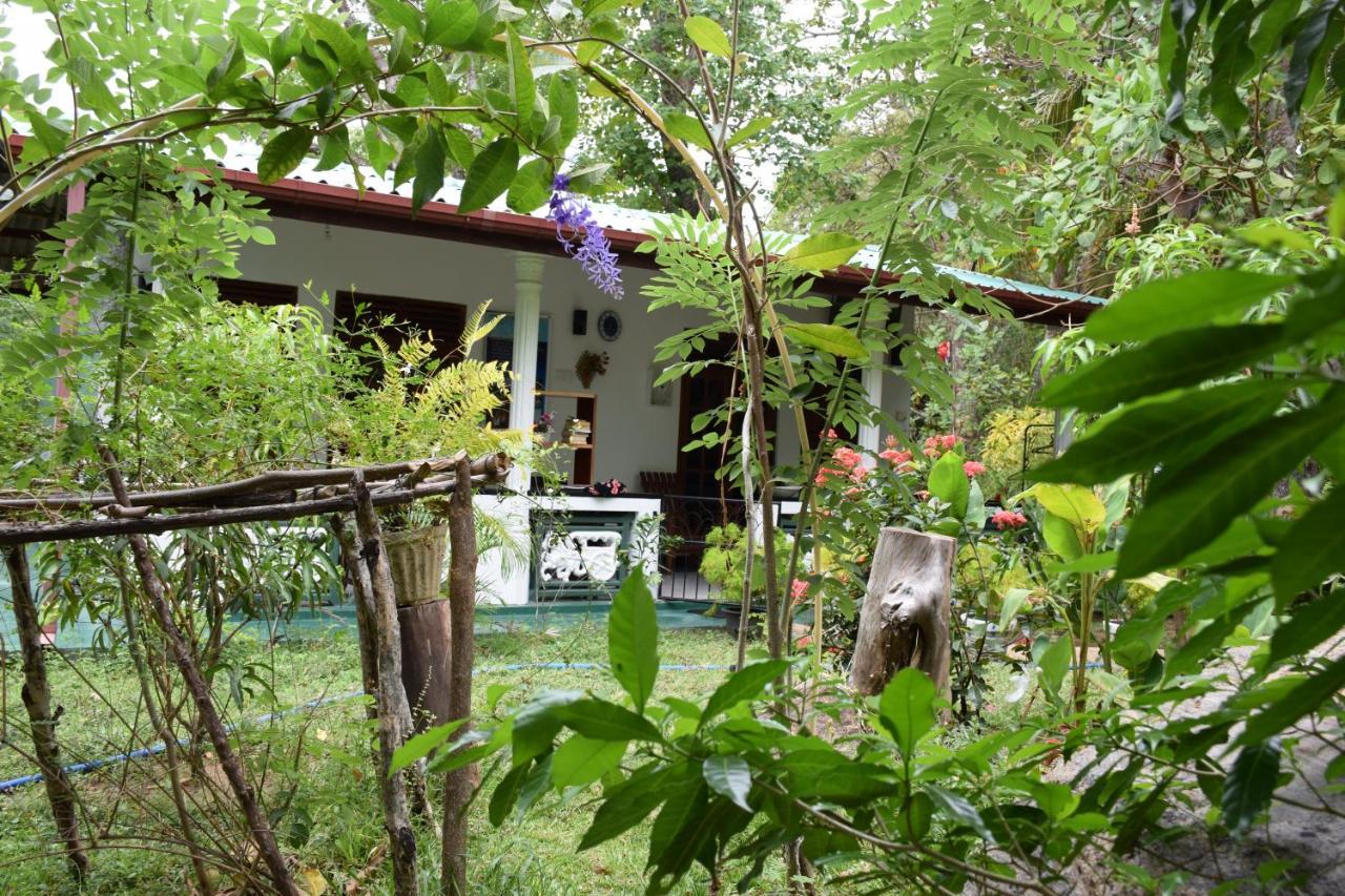 Sigiri Saman Home Stay Sigiriya Exterior foto